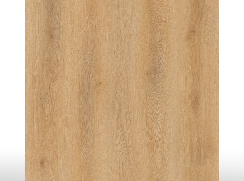 SPC Acoustic | Forest Oak  - Micro bisel - 9,5 mm