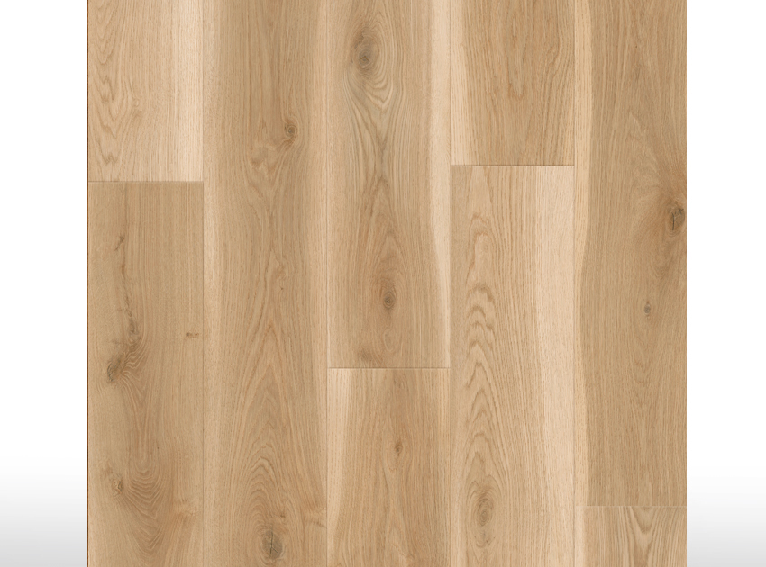 SPC Acoustic | Mystic Oak - Bisel 4V - 8,5mm